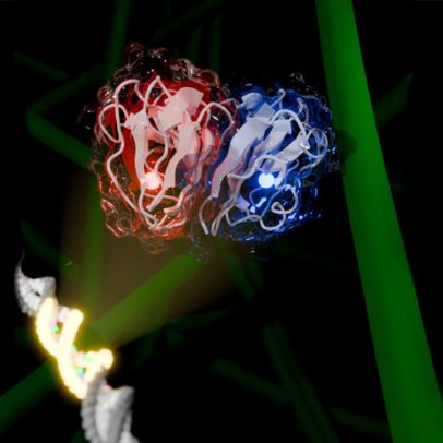 Brasileiros encontram chave da matéria escura do DNA para ampliar biocombustível