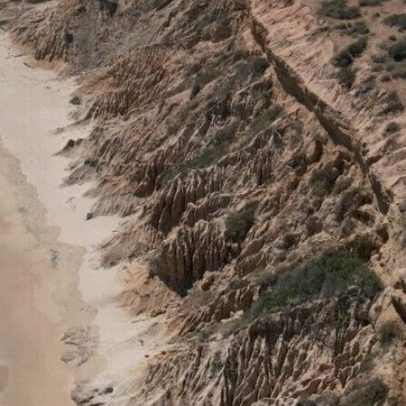 Turismo na Baja California agrava desafios para conservação, dizem críticos