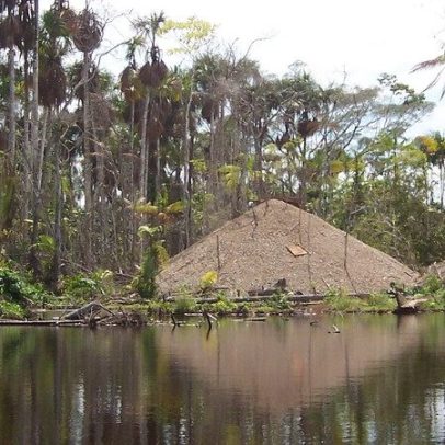 Pântanos de turfa no Peru em risco com expansão da mineração ilegal de ouro