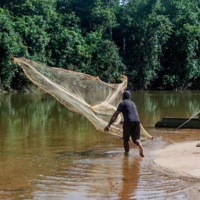 Comunidade indígena denuncia REDD+ cambojano em meio a tensões nos Cardamoms