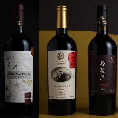 Dia Mundial do Marselan celebra vinhos da variedade ao redor do mundo