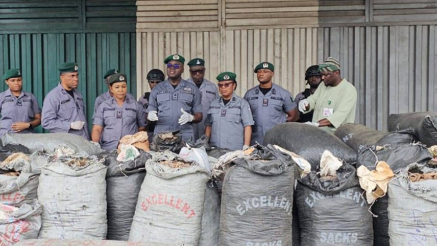 Nigerian authorities with pangolin scales seized in Lagos in April. Image courtesy of Nigeria Customs Service.
