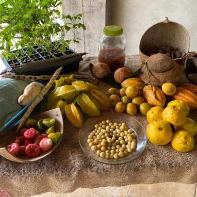 COP 30 garante alimentos da agricultura familiar e comunidades tradicionais