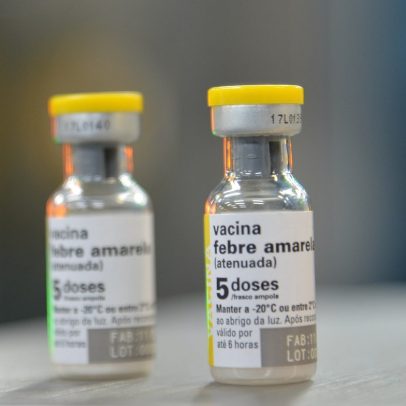 Febre amarela pode estar retornando e preocupa autoridades de saúde