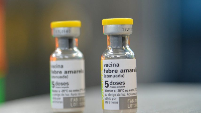 Vacina contra a febre amarela, doença transmitida por mosquitos (Foto: Wikimedia Commons)