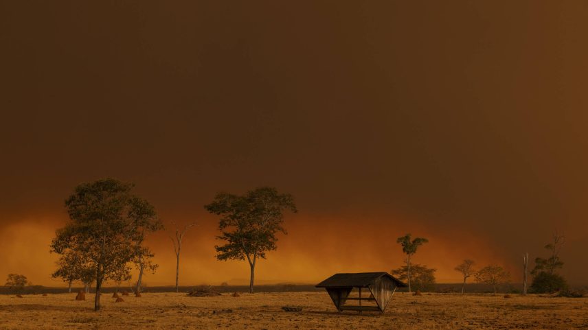 Fogo no pantanal próximo a Miranda, em Mato Grosso do Sul - Lalo de Almeida - 7.ago.24/Folhapress (Foto: Lalo de Almeida - 7.ago.24/Folhapress)
