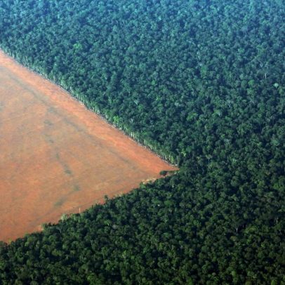 Combustíveis fósseis precisam reflorestar cinco Amazônias para zerar emissões