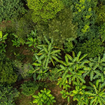 Desertificação e seca: 5 alertas que o mundo não pode mais ignorar