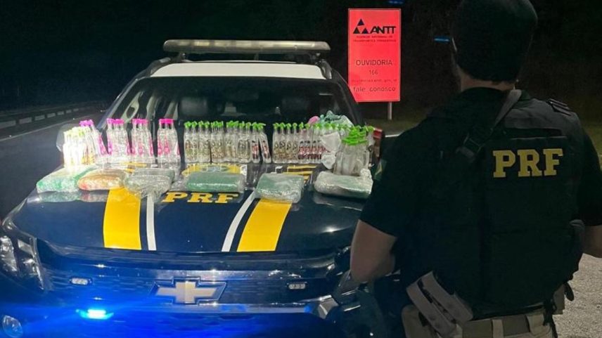 Operação da PRF apreende carga com maconha e lança-perfume na Região Serrana do Rio (Foto: Divulgação)