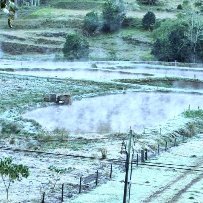 Frio intenso atinge São Paulo e mínima pode chegar a 5°C nesta quarta-feira