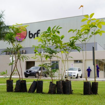 BRF é condenada por danos a funcionária que perdeu gêmeos durante a gestação
