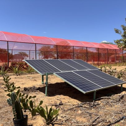 Governos do Nordeste promovem incentivos para atrair investimentos em energia solar