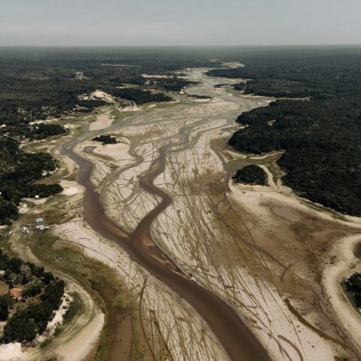 Fotógrafo revela impacto das mudanças climáticas na Amazônia e surpreende o mundo