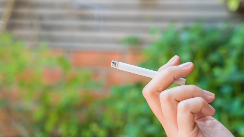 Fumar em parques, praças e praias agora será proibido na França (Foto: Freepik)