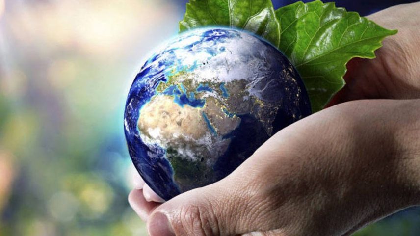71% dos brasileiros desconhecem a conferência COP30 (Foto: Thinkstock)