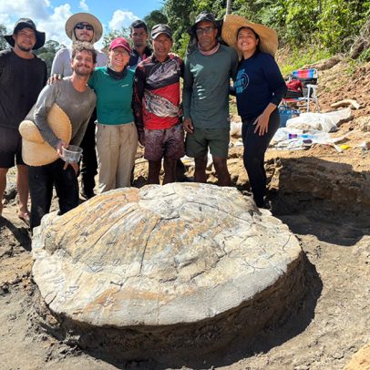 Pesquisadores descobrem fóssil de tartaruga gigante da Amazônia no Acre e SP
