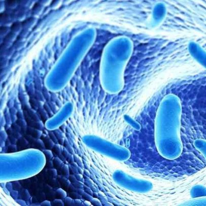 Cientistas lutam contra a propagação de bactérias perigosas para o planeta