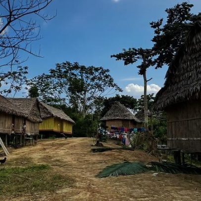 Mongabay investiga esquemas de financiamento florestal e recebe menção honrosa