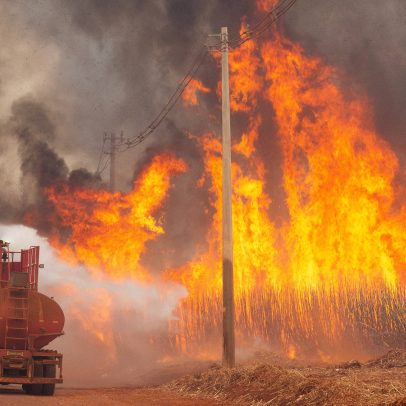 Usinas de São Paulo lançam campanhas para combater incêndios na seca