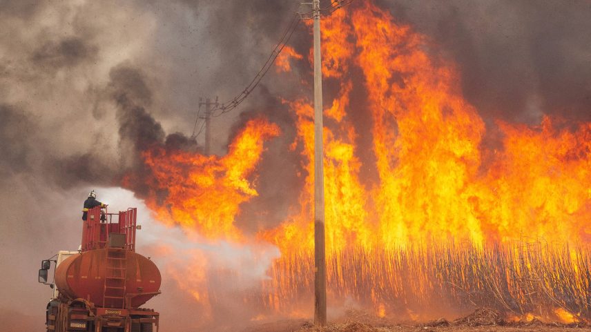 Caminhão-pipa atua no combate a incêndio em lavoura de cana-de-açúcar em Dumont, na região de Ribeirão Preto (Foto: Joel Silva-24.ago.24/Reuters)