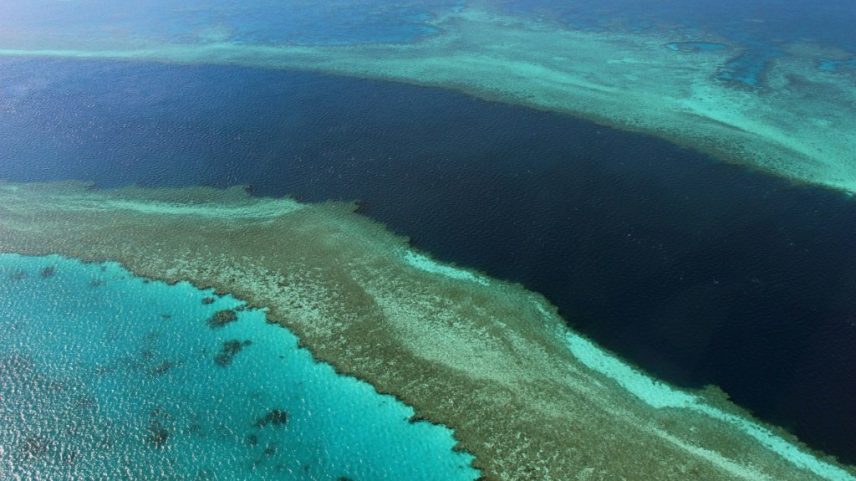A Grande Barreira de Corais, na Austrália, é a maior estrutura viva do mundo. (Foto: Reprodução/AFP)