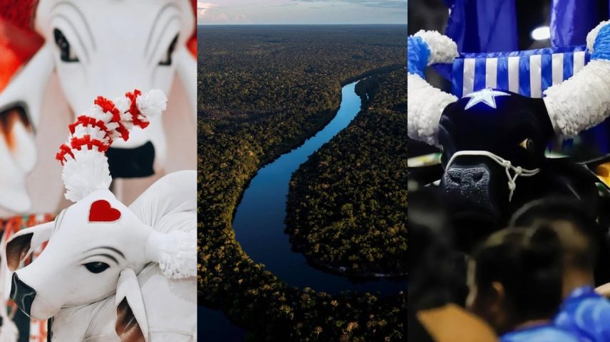 Caprichoso e Garantido disputam quem consegue mais assinaturas para projeto de preservação da Amazônia (Foto: Reprodução/Instagram)