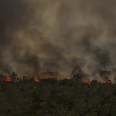 Pico de fogo revela avanço da savanização na Amazônia e suas consequências