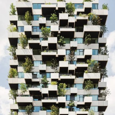 Cidades adotam florestas verticais para revitalizar espaços urbanos e melhorar a qualidade de vida