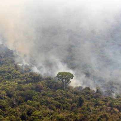 Queimadas e extração de madeira na Amazônia causam impactos por décadas, revela estudo