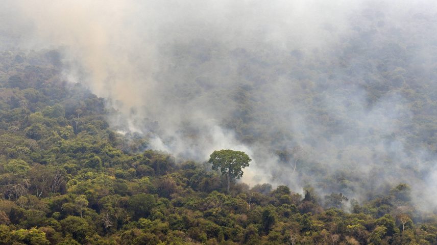 Incêndio na Terra Indígena Kayapó (Pará), na floresta amazônica, em setembro de 2024 (Foto: Marizilda Cruppe/Greenpeace Brasil/Divulgação)