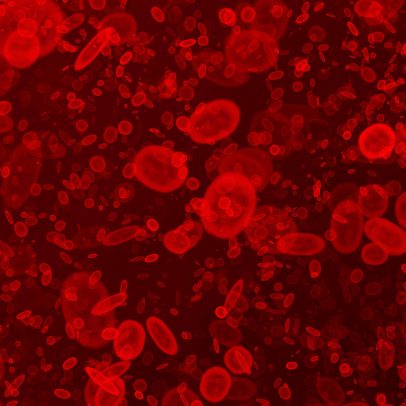 Cientistas desenvolvem sangue artificial em laboratório como nova esperança médica