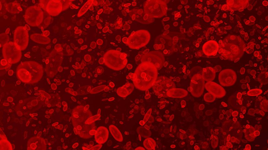 Células sanguíneas (Foto: Argus/Adobe Stock)