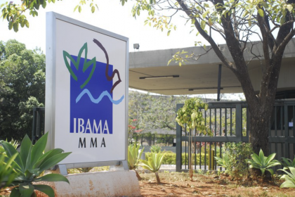 Foto: Ibama/Divulgação