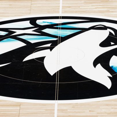 NBA aprova venda do Minnesota Timberwolves e Lynx para novos proprietários