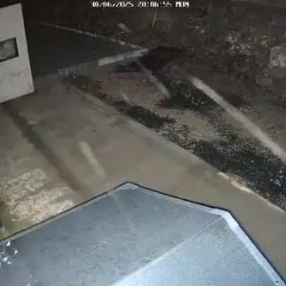 São Joaquim registra neve e encanta com vídeos impressionantes nesta segunda-feira