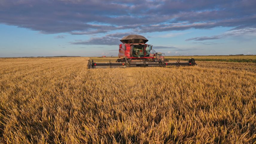 Preço de fertilizante dispara mais de 20% em meio à piora do conflito no Irã e acende alerta no agro (Foto: Reprodução)