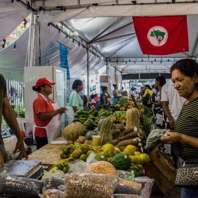 Cooperativa do MST busca financiamento popular para impulsionar agricultura familiar