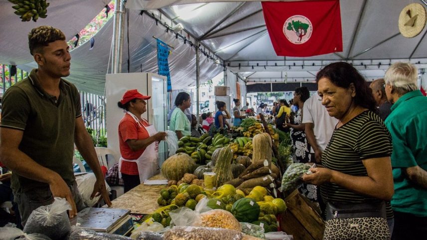 Alimentos orgânicos e agroecológicos à venda em feiras do MST (Foto: Divulgação)