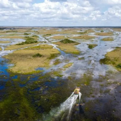 Flórida cria 'Alcatraz dos Jacarés' para detenção de migrantes na Everglades