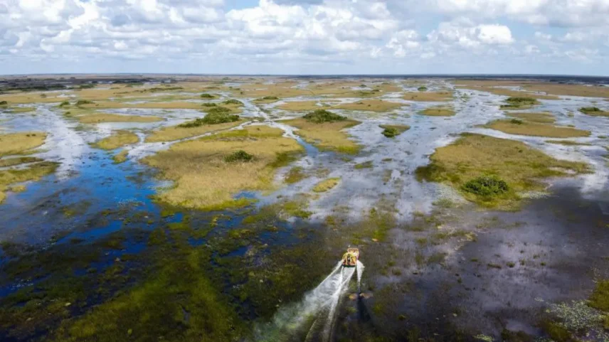 Os Everglades são uma área ecologicamente sensível e estão especialmente vulneráveis ao aumento do nível do mar. (Foto: Getty Images)