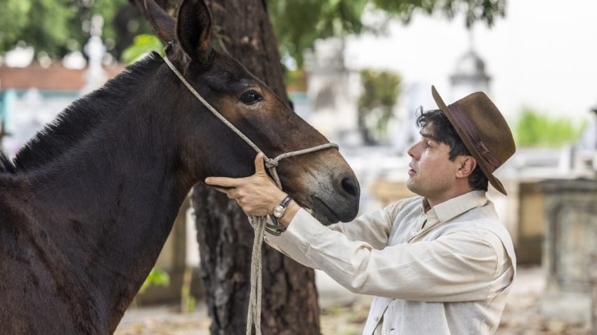 O ator Sérgio Guizé, que retorna como Candinho em 'Êta mundo melhor!' e seu fiel escudeiro Policarpo, vivido pela burrinha Juliana — Foto: Globo/Fábio Rocha