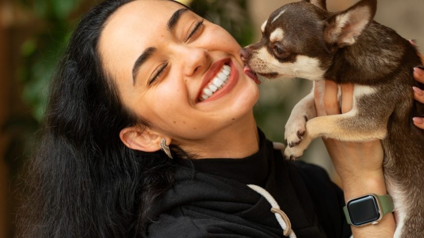 Quem aplicar tatuagem ou piercing em cães e gatos agora terá que pagar uma multa e perder a guarda do animal (Foto: Freepik)