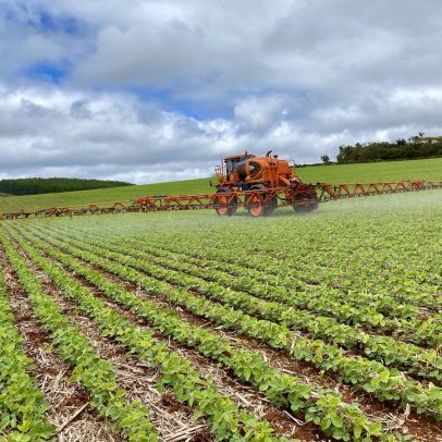 IGP-M registra queda de 1,67% em junho com influência das safras agrícolas