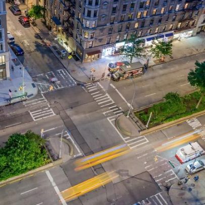 Restauração do Broadway Mall traz plantas nativas e fauna para Nova York