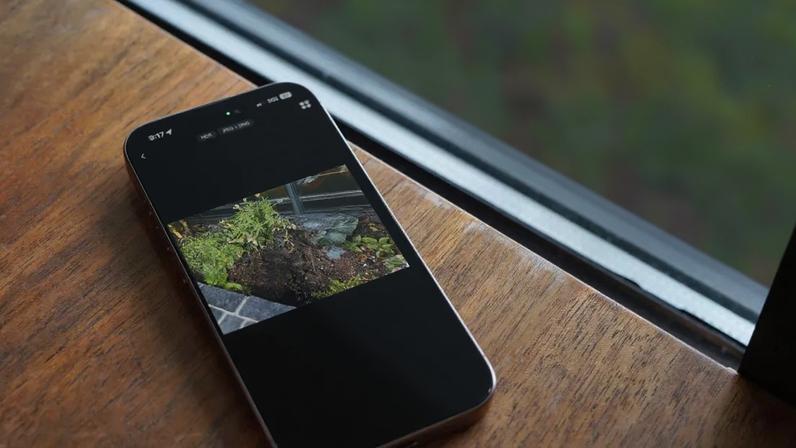 Recalibrate your relationship with phone photography.