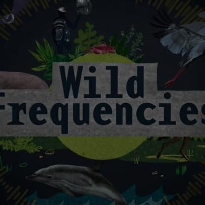 Mongabay Índia vence melhor podcast de ciência no Publisher Podcast Awards