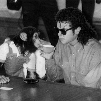 Bubbles, chimpanzé de Michael Jackson, recebe herança de US$ 30 mil por ano
