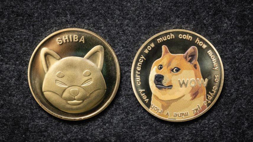 memecoin cripto criptomoeda ativo digital (Foto: Reprodução)