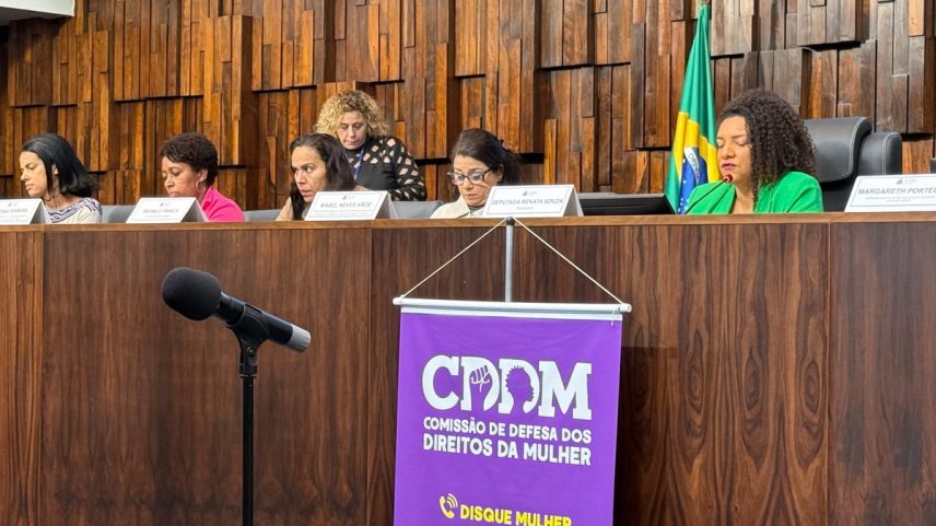 Audiência pública da Comissão de Defesa dos Direitos das Mulheres (Foto: Divulgação)