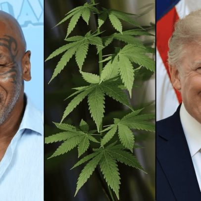 Celebridades pedem a Trump mudanças na legislação sobre cannabis nos EUA